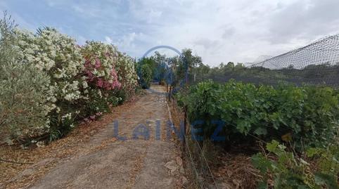 Foto 4 von Residential zum Verkauf in La Granjuela, Córdoba