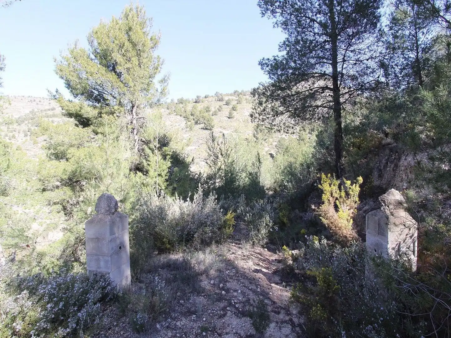 Chalet en venta en Petrer, imagen 19
