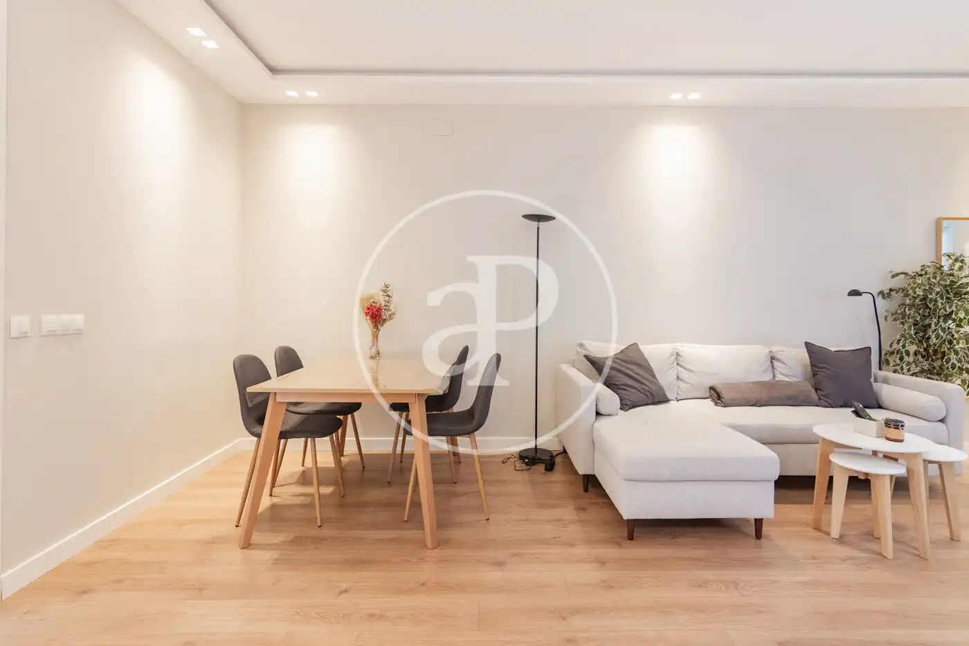 Living room of Flat for sale in Barrio de Salamanca