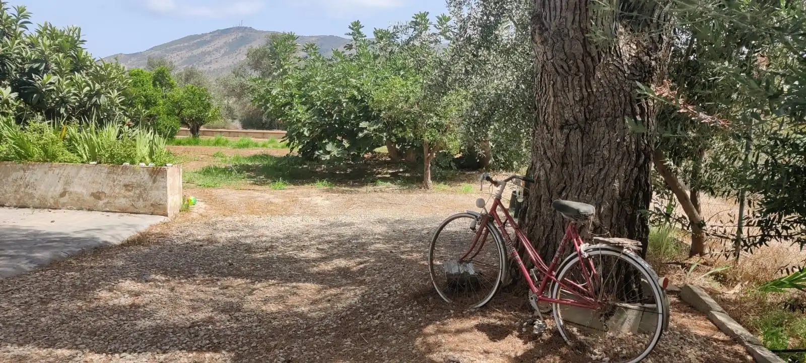 Vista exterior de Finca rústica en venta en Benidorm con Jardín privado y Amueblado