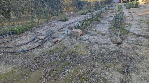 Foto 3 de Casa o chalet en venta en Escucha, Lorca