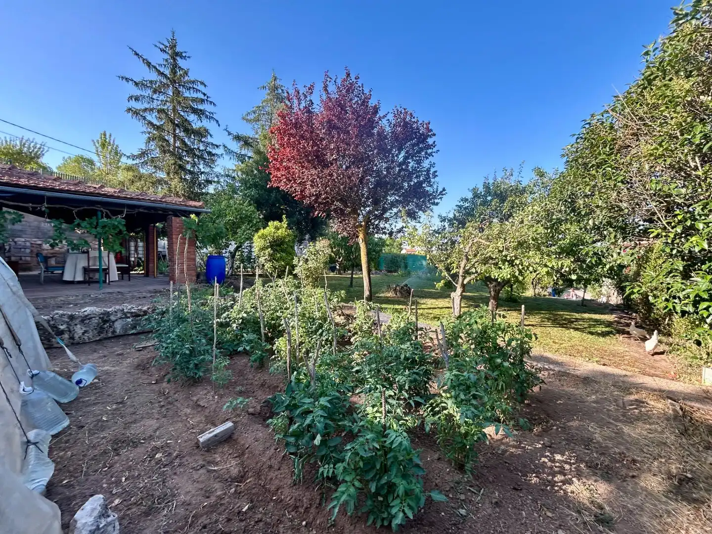 Jardín de Casa o chalet de alquiler en Modúbar de la Emparedada con Calefacción, Terraza y Balcón