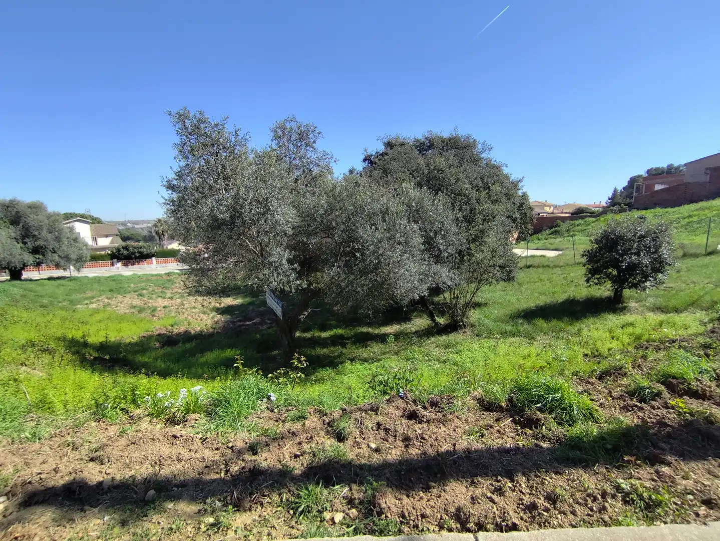 Wohnbaugrundstück zum Verkauf in Carrer Hèrcules, imagen 6