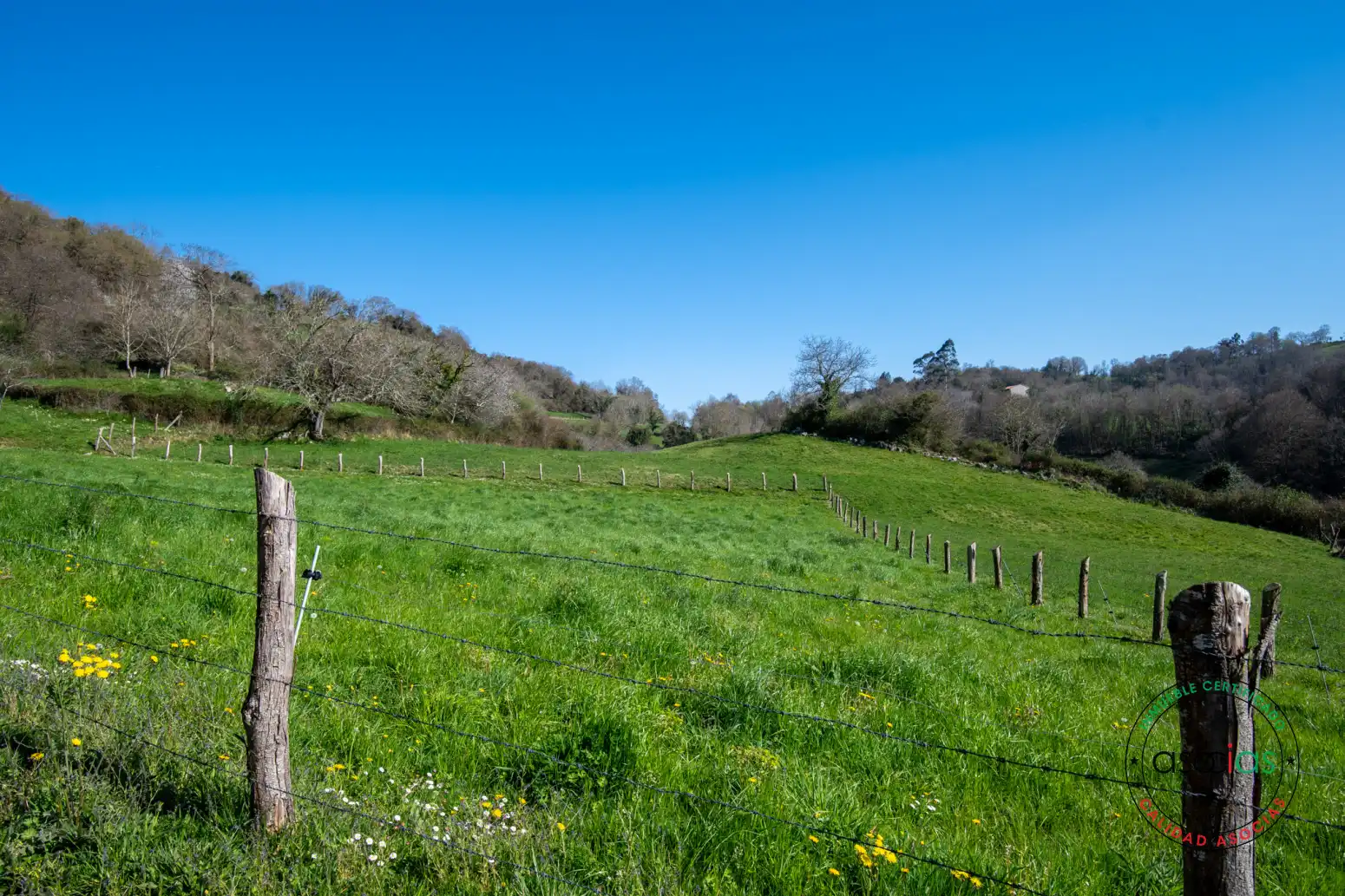 Terreny rústic en venda a San Román - Camino de VALDACEO-SAN ROMÁN, imagen 13