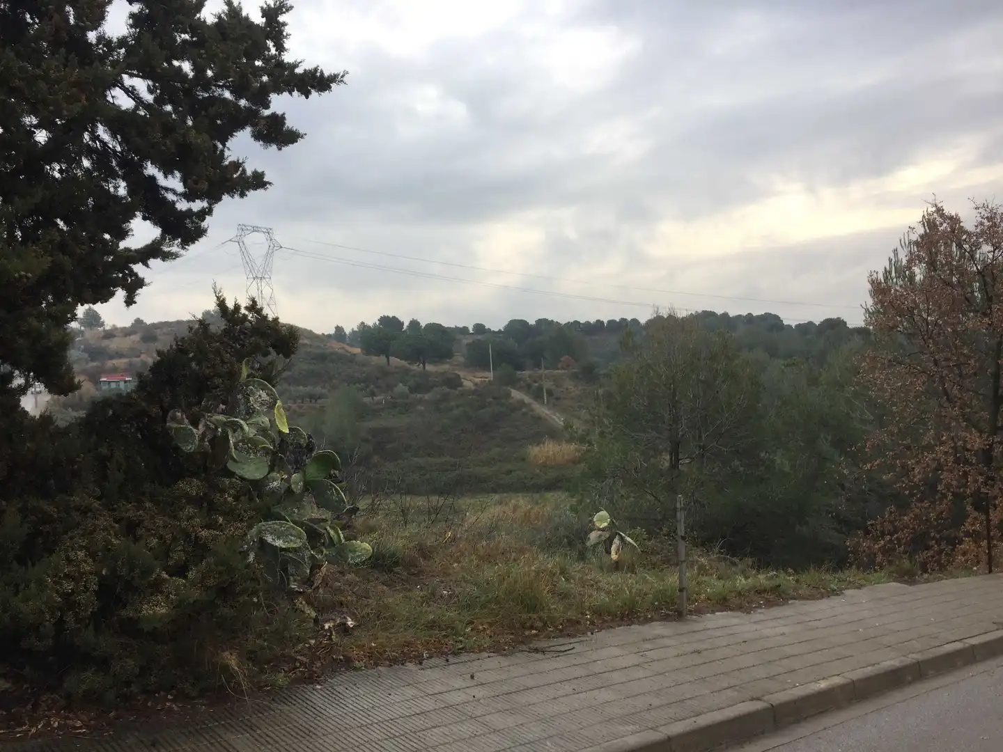 Terrain rustique à vendre à C/ Salze, imagen 8