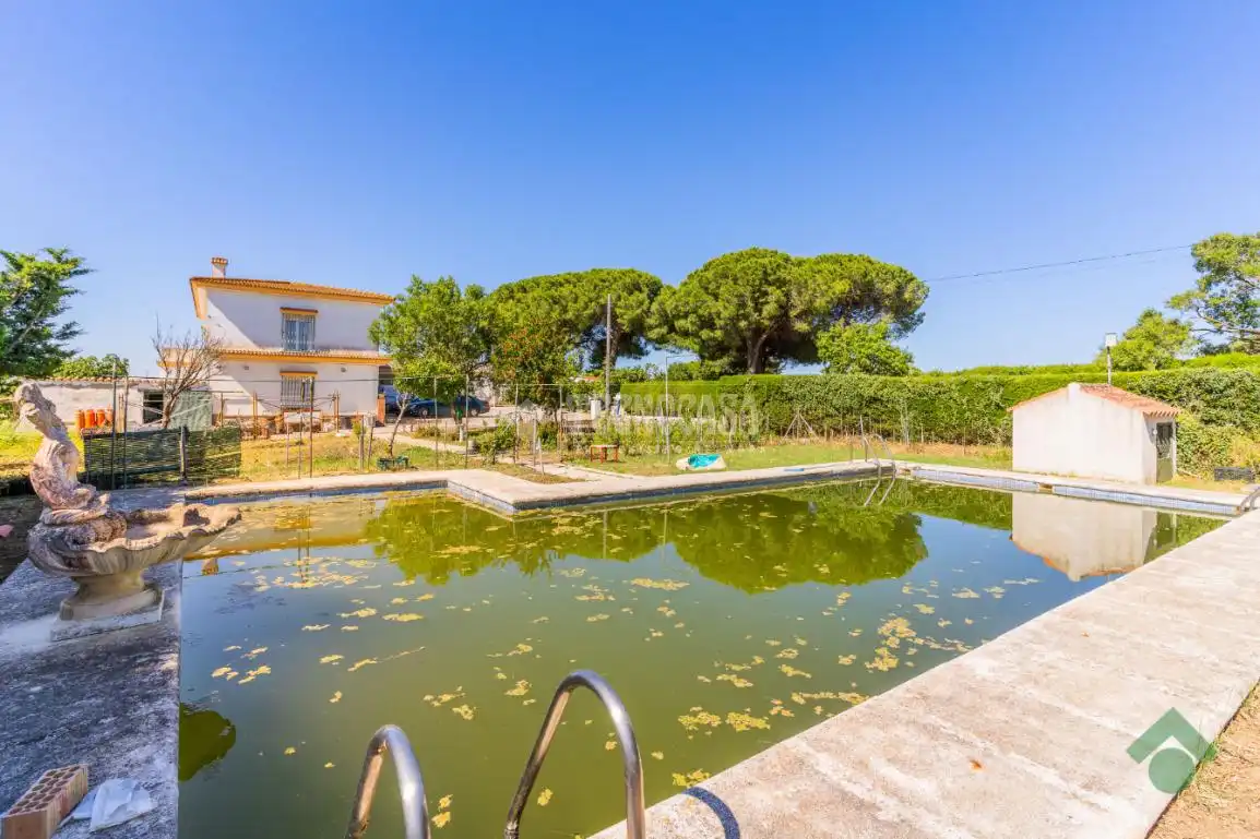 Swimming pool of Country homes for sale in Puerto Real  with Terrace, Swimming Pool and Balcony