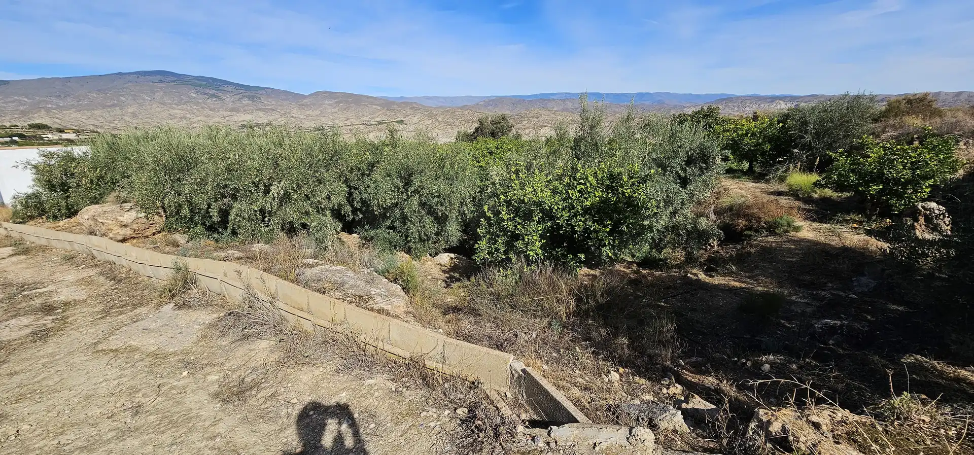 Terreno en venta en Bentarique
