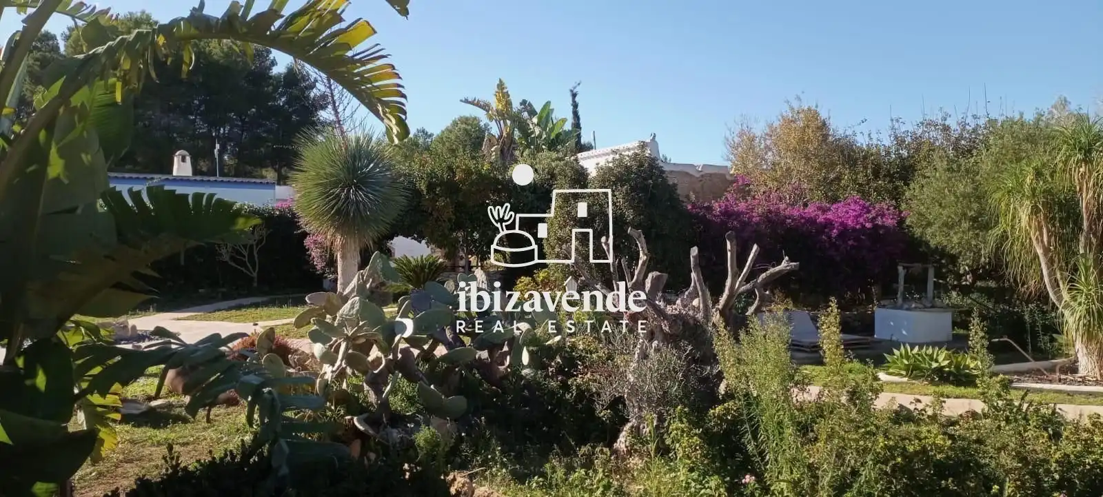Villa mit Pool zum Verkauf in venda Labritja, imagen 13