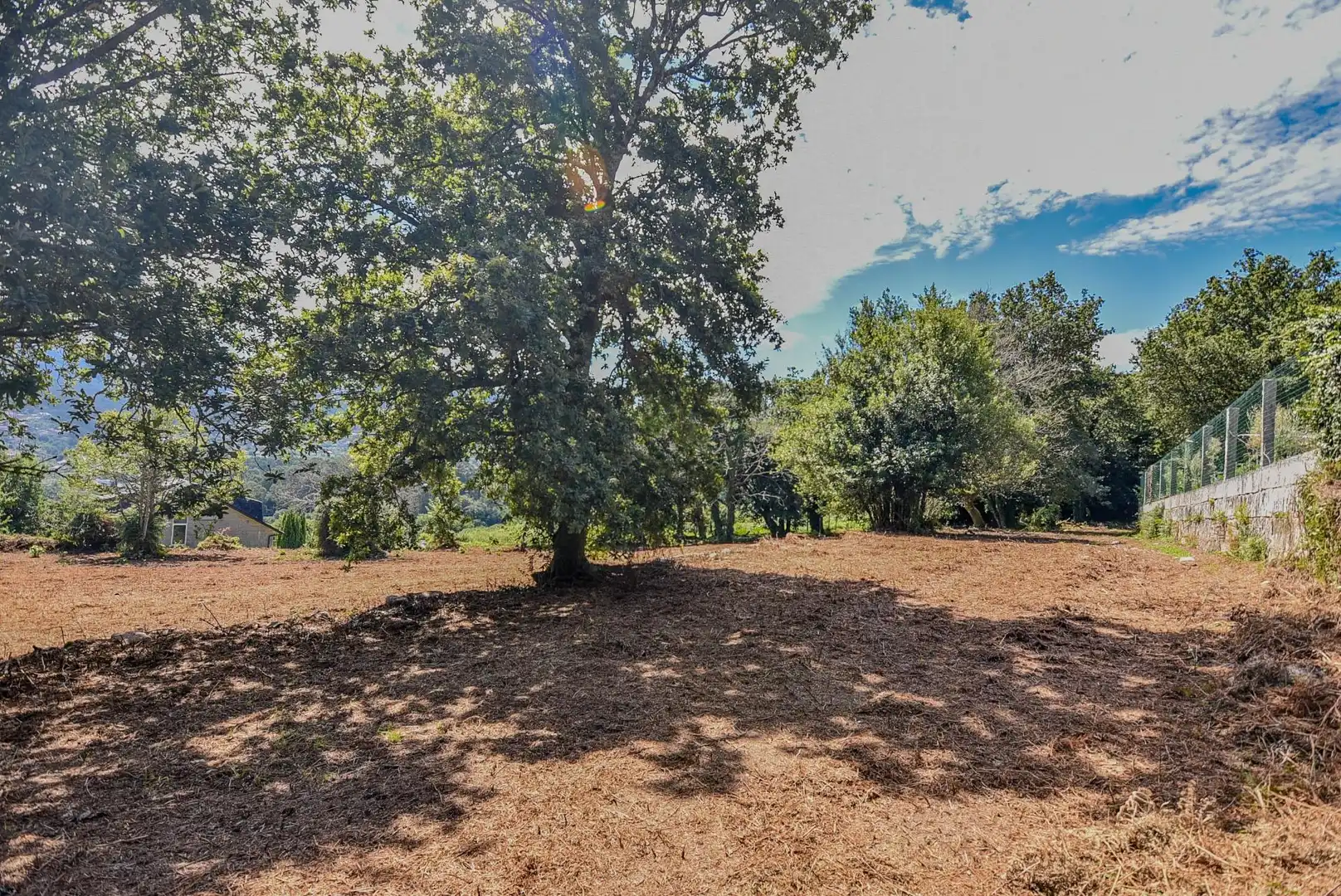 Terreni e lotti in vendita a CIDRAS-SAN XULIAN 15, imagen 17