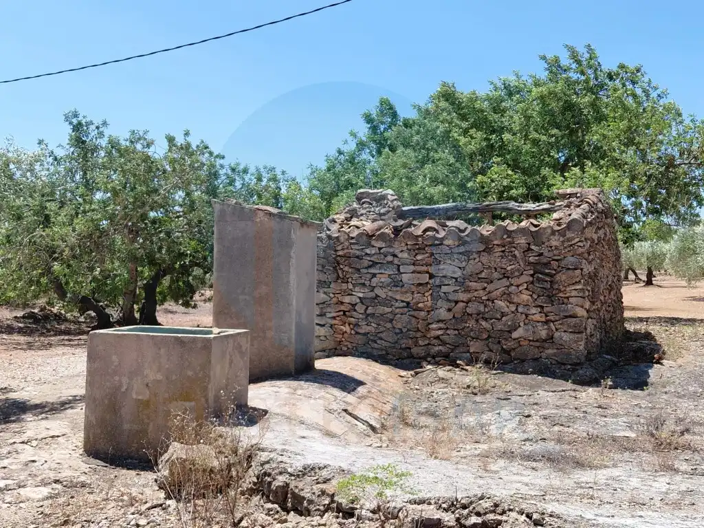 Casa rústica en venta en El Perelló, imagen 4