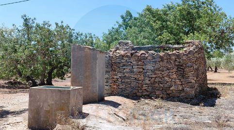 Foto 4 de Finca rústica en venta en El Perelló, Tarragona
