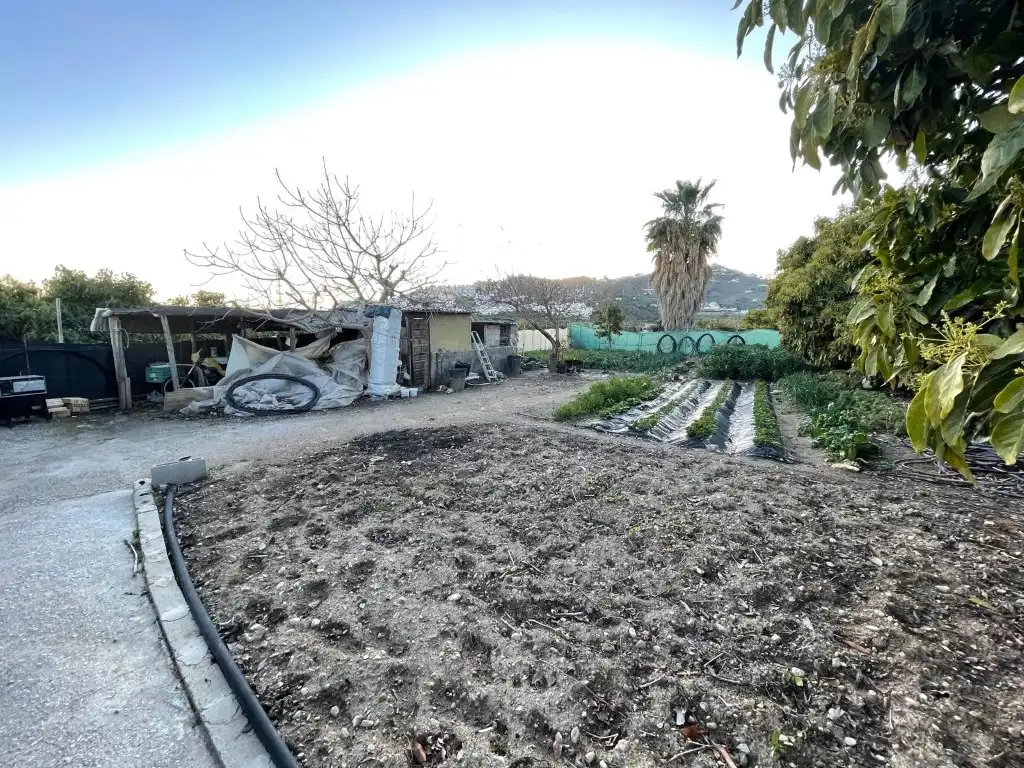 Finca rústica en venta en N/A, Avda Pescia - Ctra de Frigiliana