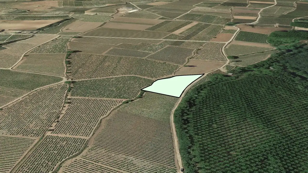 Lands and plots for sale in C/ Polígono 12 Parcela 34