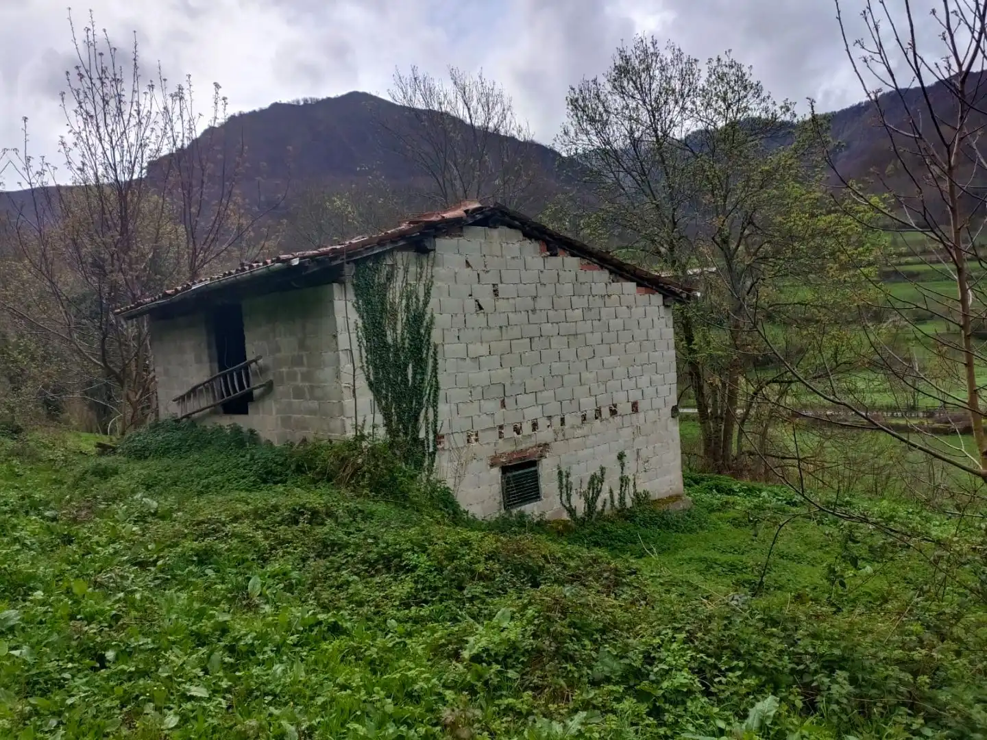 Terreny rústic en venda a Carretera as117 Sn, imagen 42