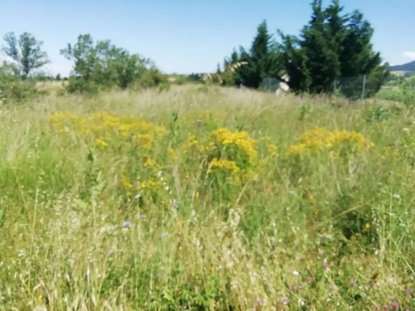 Lands and plots for sale in Santo Domingo de la Calzada
