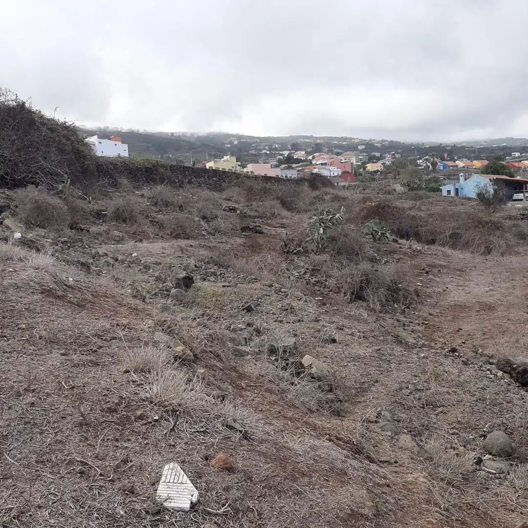 Terrain rustique à vendre à La Perdoma - San Antonio - Benijos, imagen 2