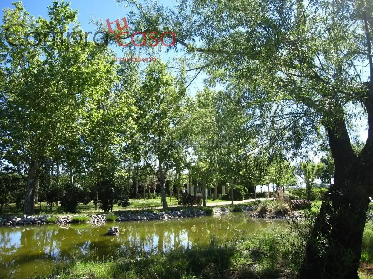 Vista exterior de Casa o chalet en venta en Valverde del Majano con Calefacción, Jardín privado y Terraza