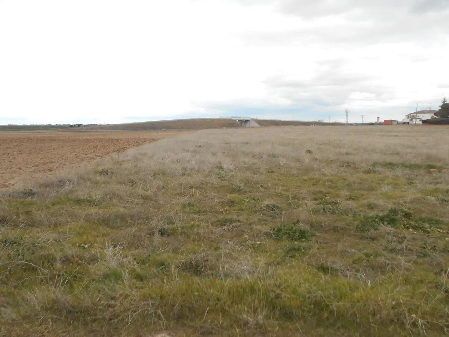 Land for sale in San Pedro del Arroyo