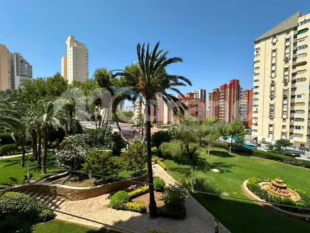 Vista exterior de Estudio en venta en Benidorm con Jardín privado, Piscina y Piscina comunitaria