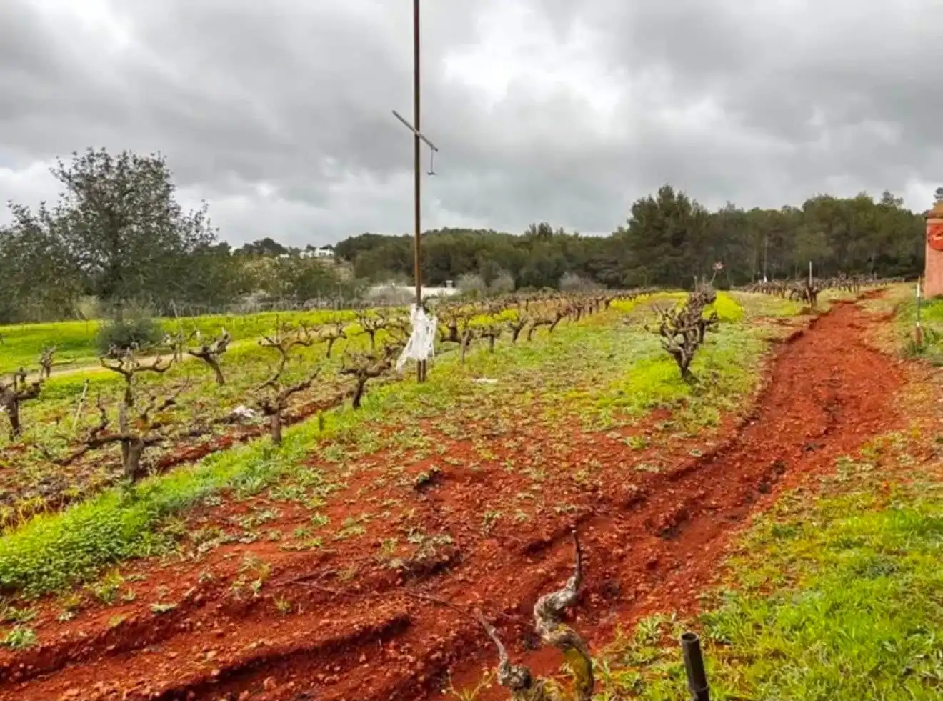 Terreno en venta en Santa Eulària des Riu
