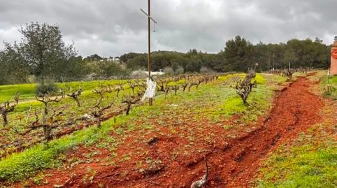 Foto 4 de Terreny en venda a Calle Port de Sant Miquel, Santa Gertrudis, Santa Eulària des Riu