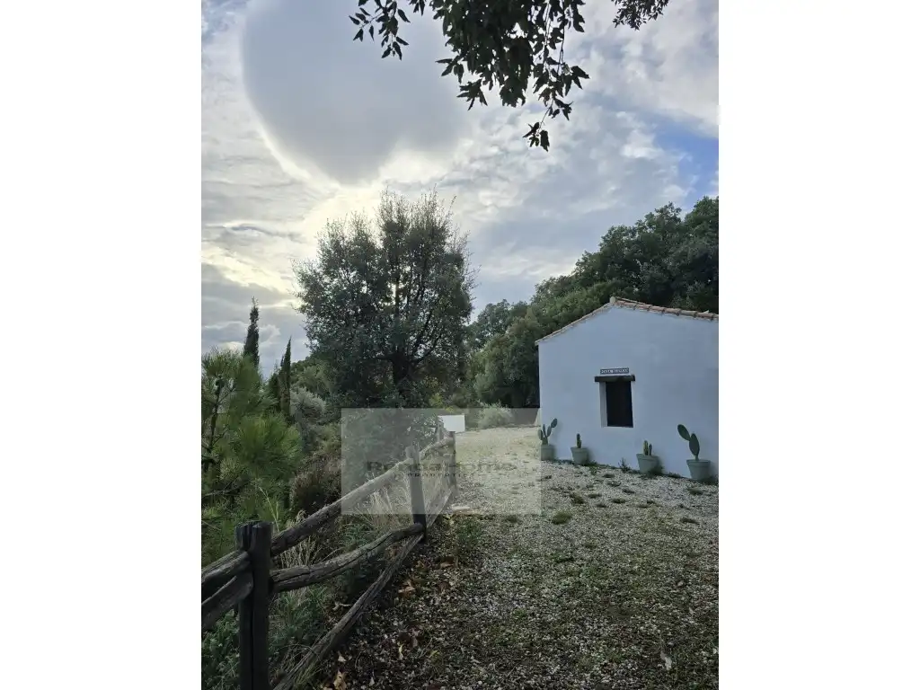 Finca rústica en venda a Poligono 2 Paraje 85 La Porrona, Jubrique