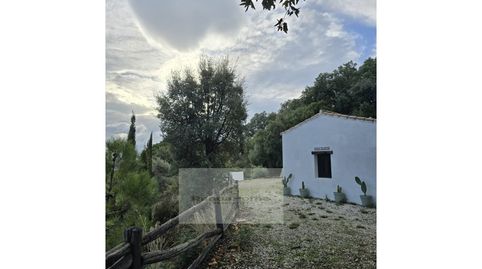 Foto 2 de Finca rústica en venda a Poligono 2 Paraje 85 la Porrona, Jubrique, Málaga