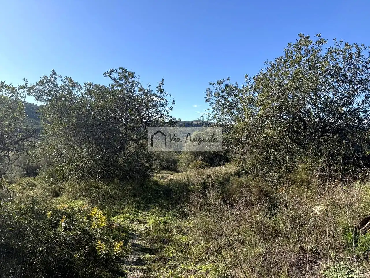 Terreno rustico in vendita a Bassa d'en Baró, imagen 8