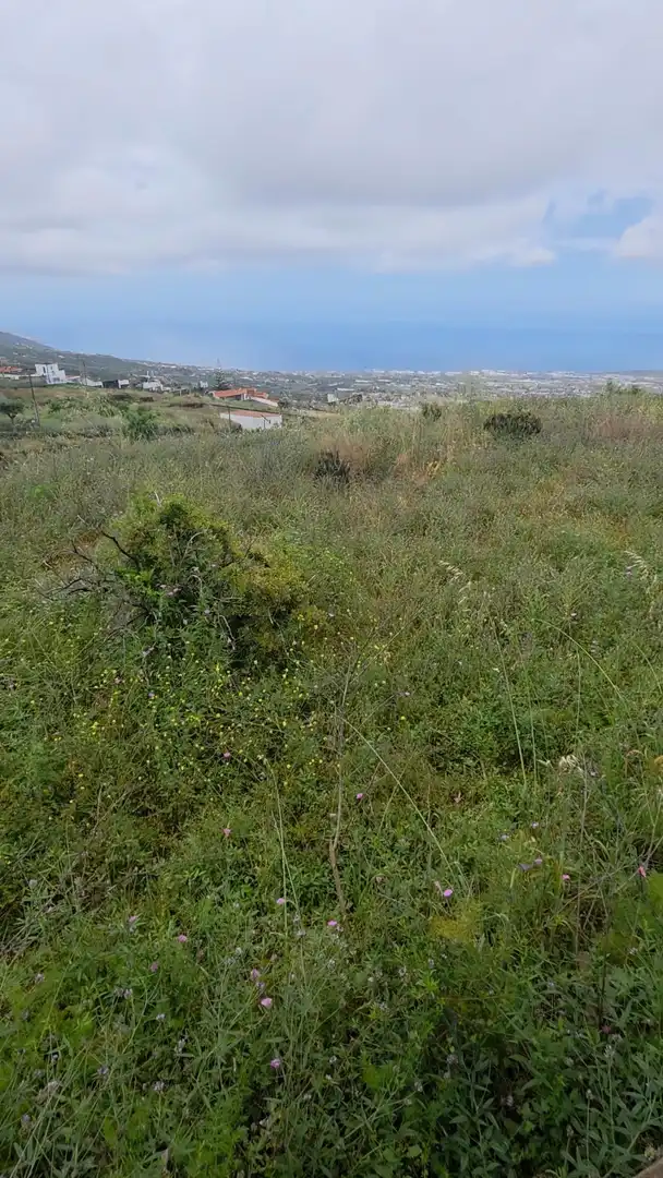 Rural land for sale in Camino Camino Morra del Estanque