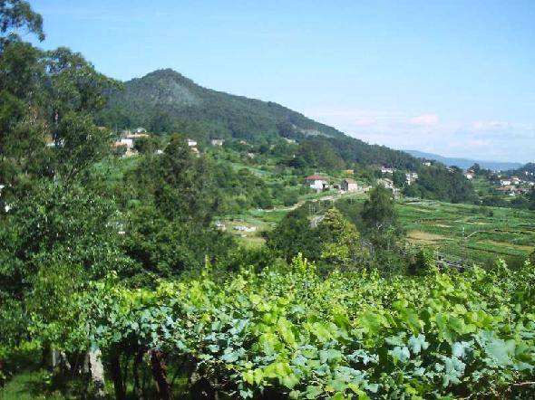 Terreno en Venta en Redondela