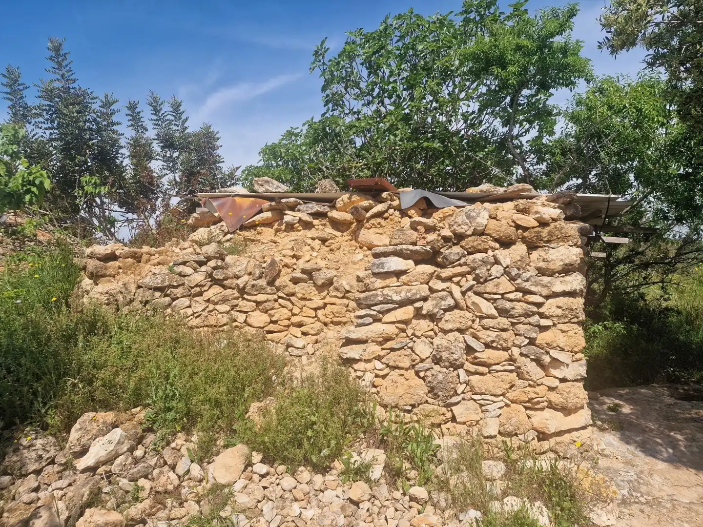 Terreno rustico in vendita a Valls, imagen 16