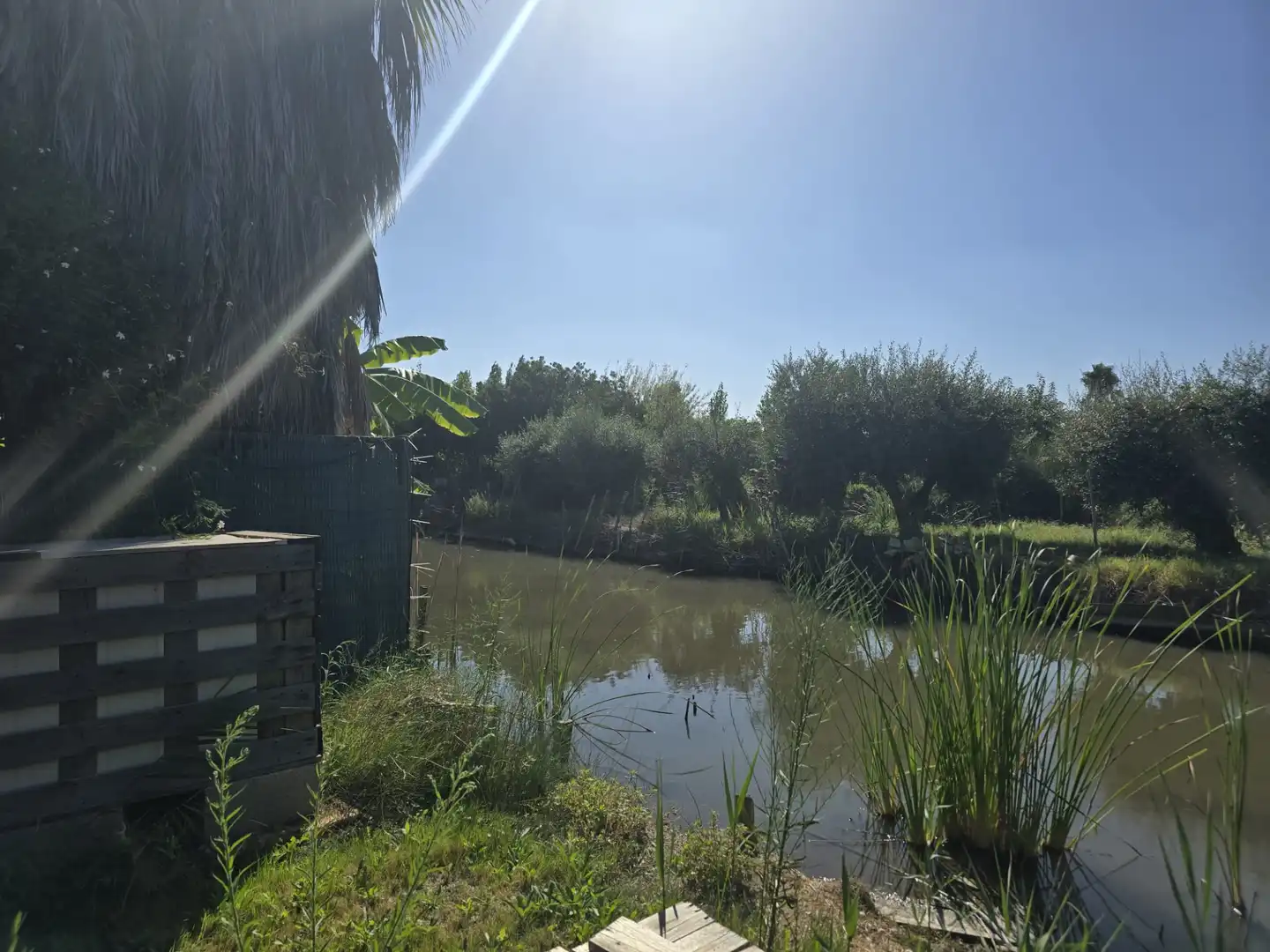 Terreny rústic en venda a Camí la Fileta 2, imagen 11