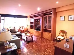 Sala d'estar de Pis de lloguer en A Coruña Capital  amb Parquet, Moblat i Forn