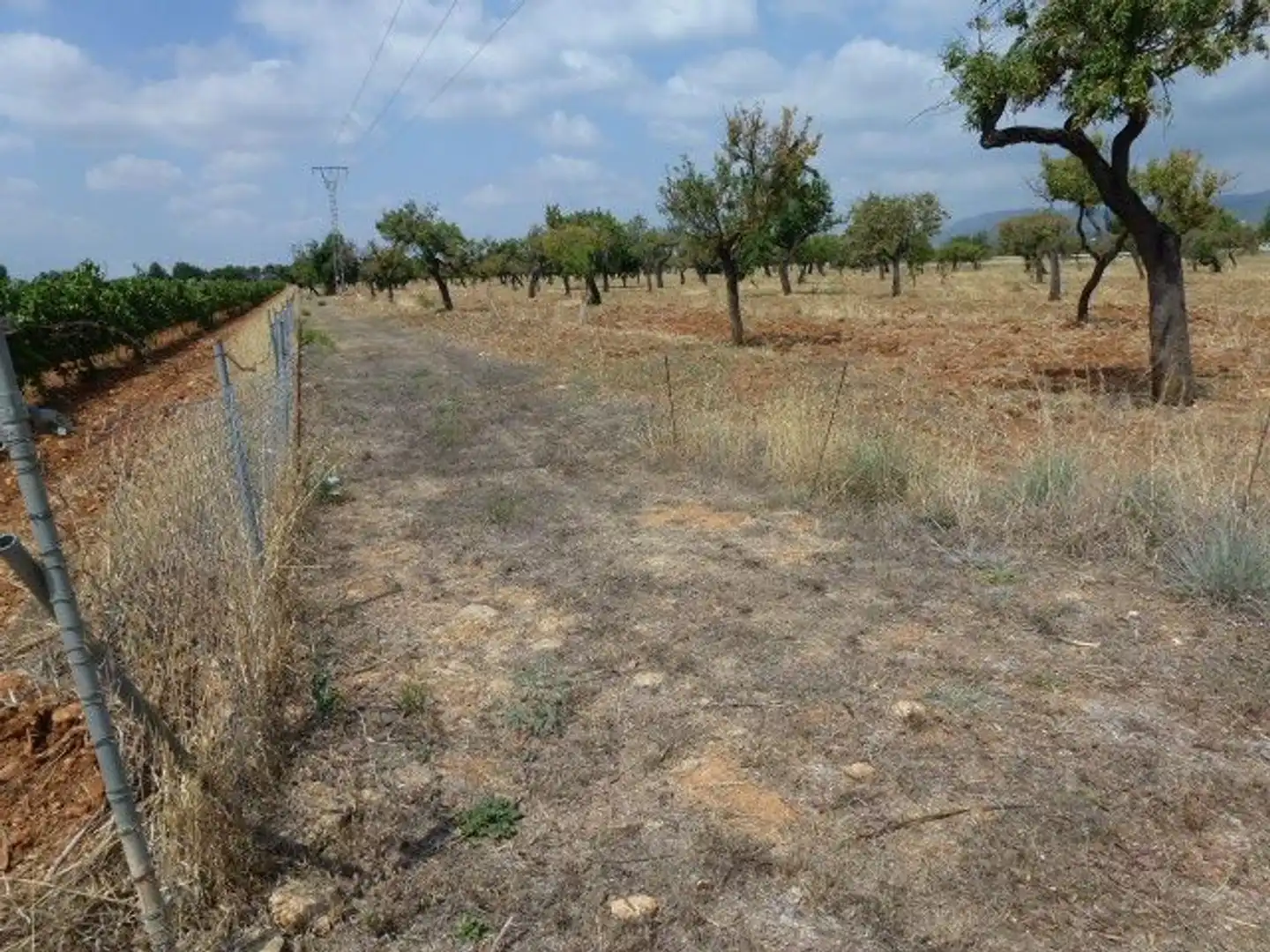 Terreno en venta en Binissalem