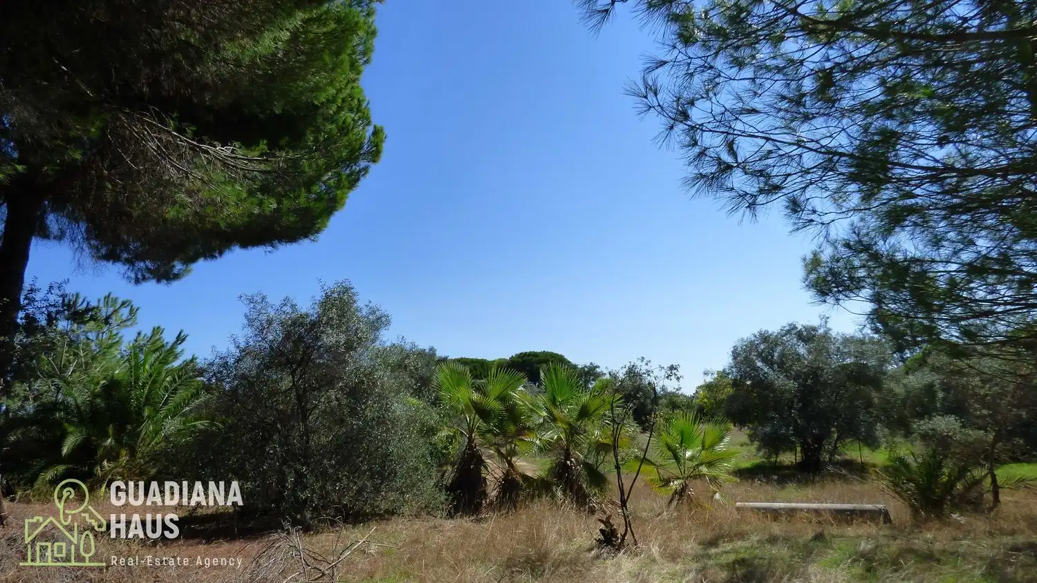 Country homes for sale in Villablanca  with Private garden, Terrace and Storage room