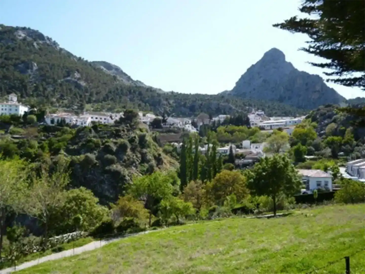 Vista exterior de Finca rústica en venda en Grazalema amb Jardí privat i Moblat