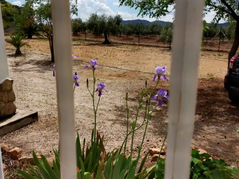 Chalet con jardín en venta en Castillejos 19, imagen 33