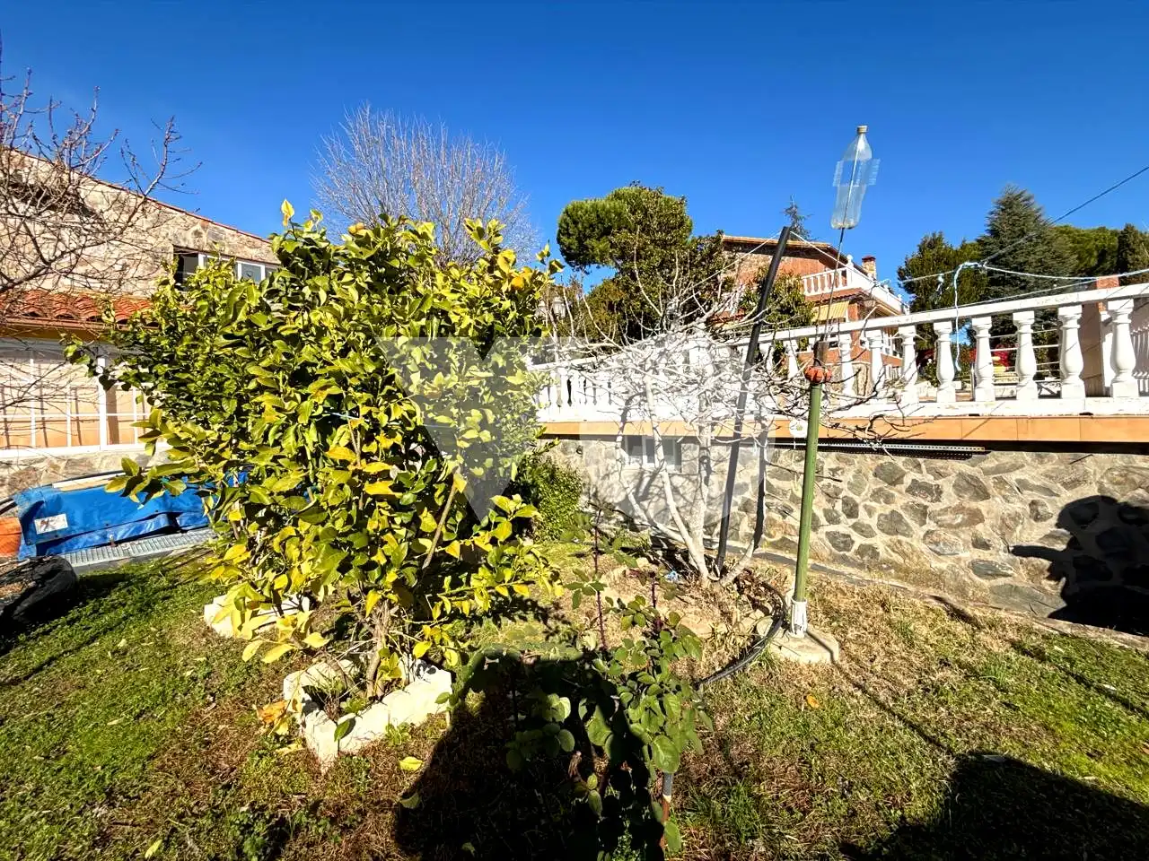 Jardín de Casa o chalet en venta en Ribatejada con Jardín privado, Terraza y Piscina