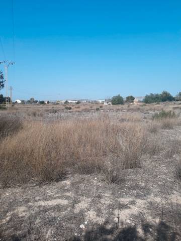 Terreno en Venta en Camino de la Horna, 26 en Pedanías Oeste