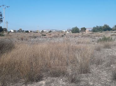 Rural land for sale in Camino de la Horna 26