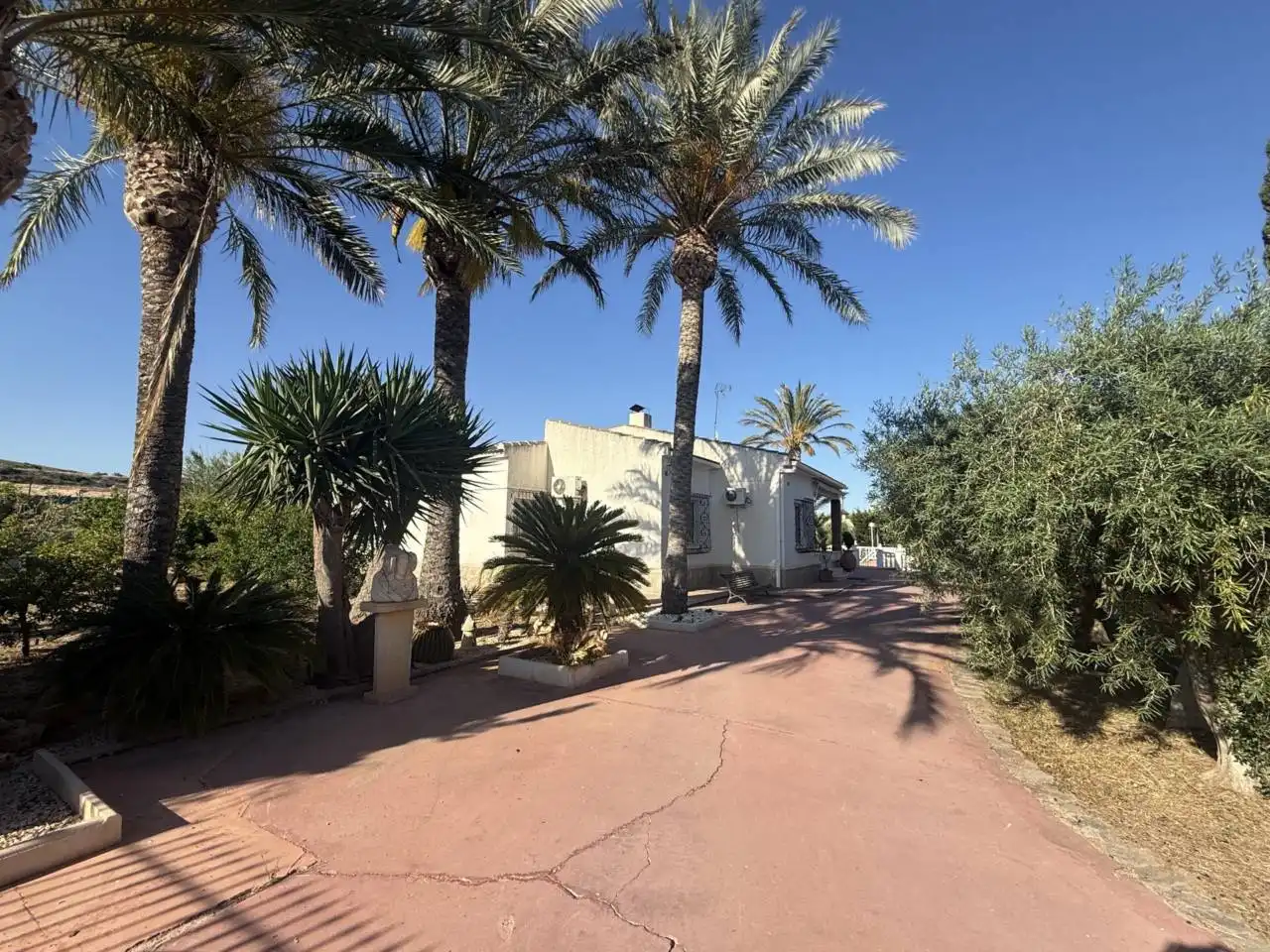 Vista exterior de Casa o chalet en venta en Elche / Elx con Aire acondicionado, Calefacción y Jardín privado