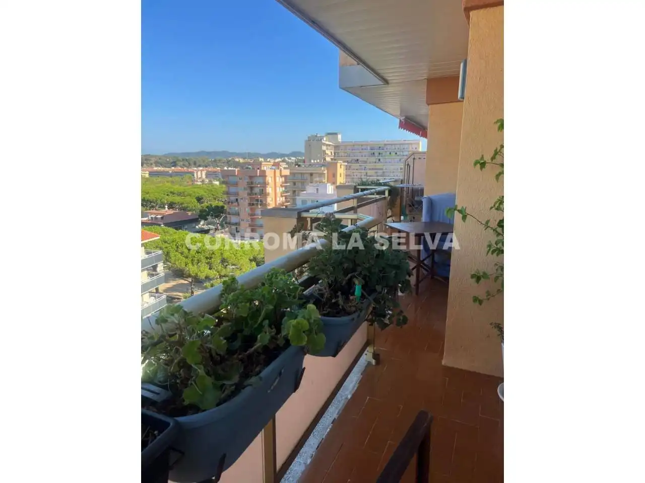 Appartamento con terrazza in vendita a Els Pins, imagen 3