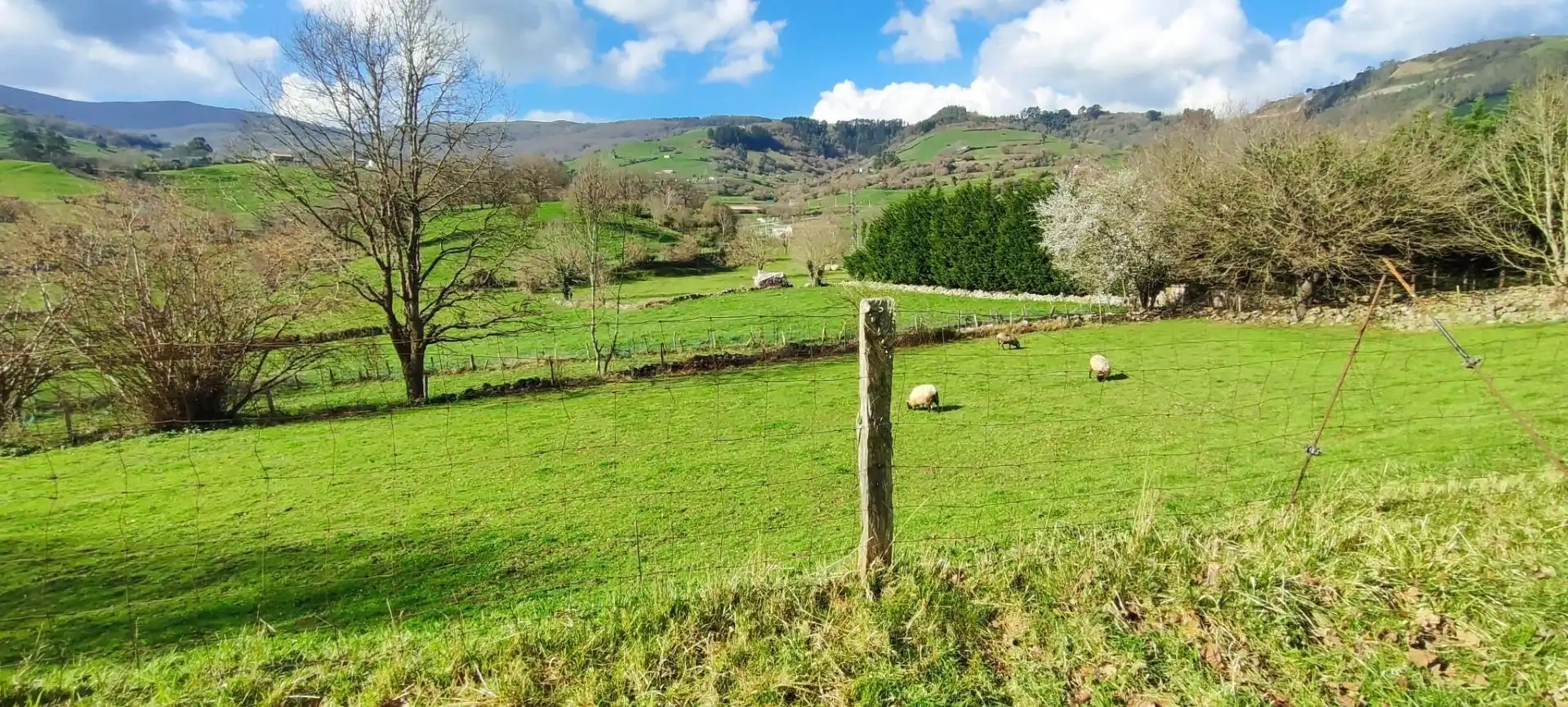 Terreni e lotti in vendita a Corvera de Toranzo, imagen 5