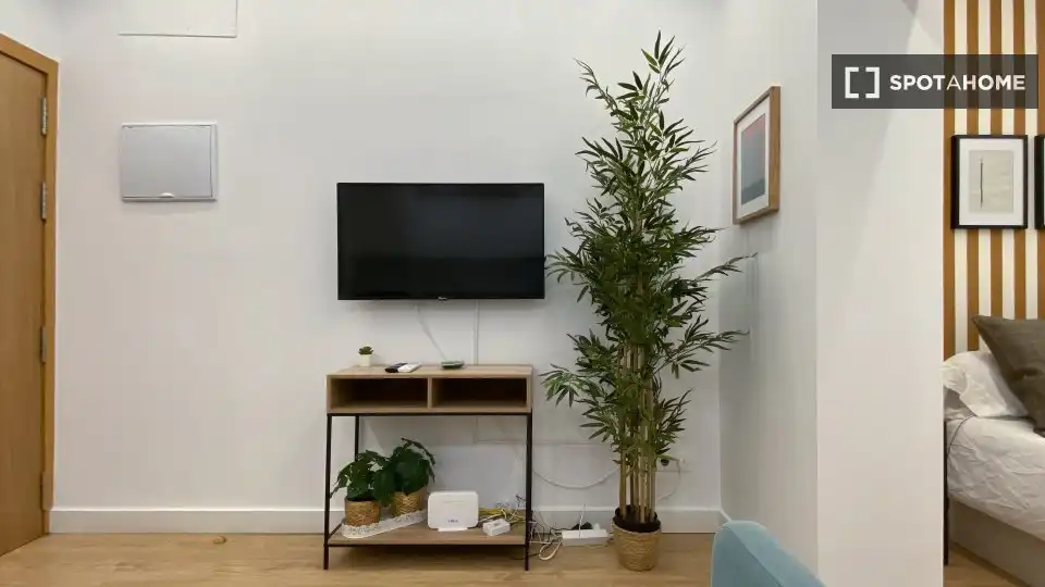 Wohnzimmer von Wohnung zur Miete in Madrid mit Klimaanlage, Heizung und Möbliert