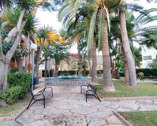 Exterior view of Apartment to rent in San Javier  with Terrace, Furnished and Pets allowed