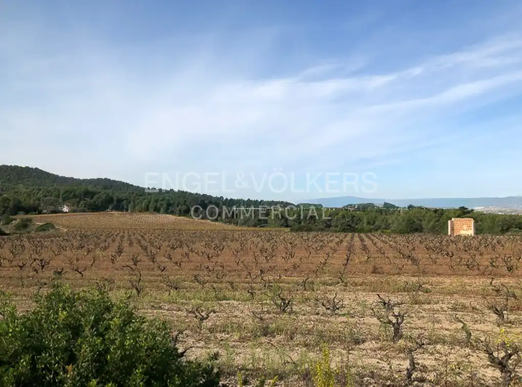 Fabrik Grundstücke zum Verkauf in Avinyonet del Penedès