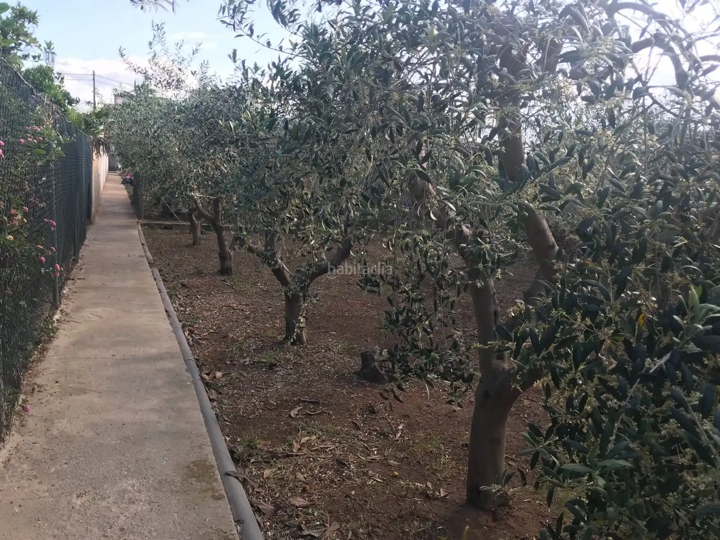 Terreno residencial en venta en Partida Collet 23, imagen 11