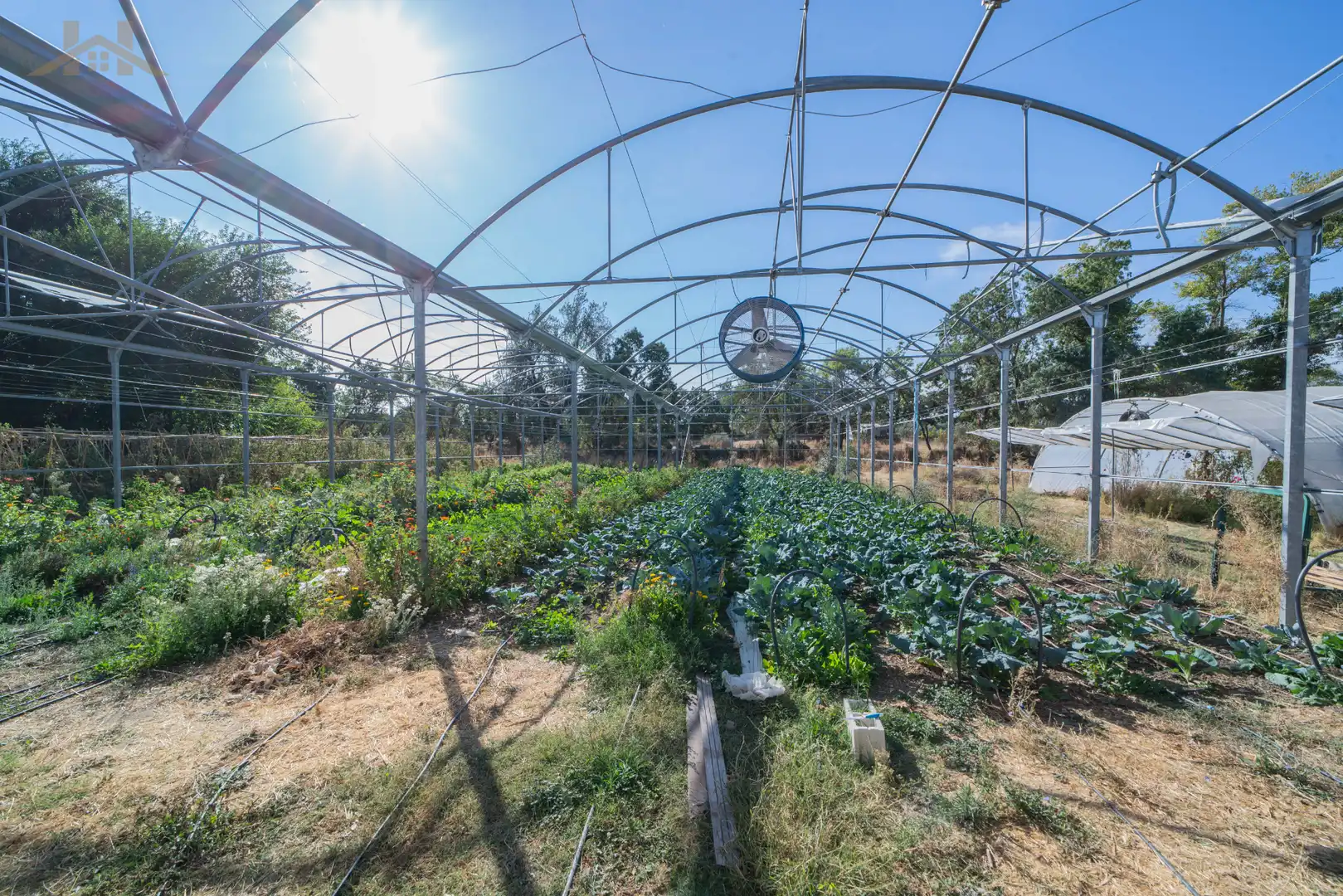 Jardín de Finca rústica en venta en Brunete con Jardín privado, Trastero y Piscina