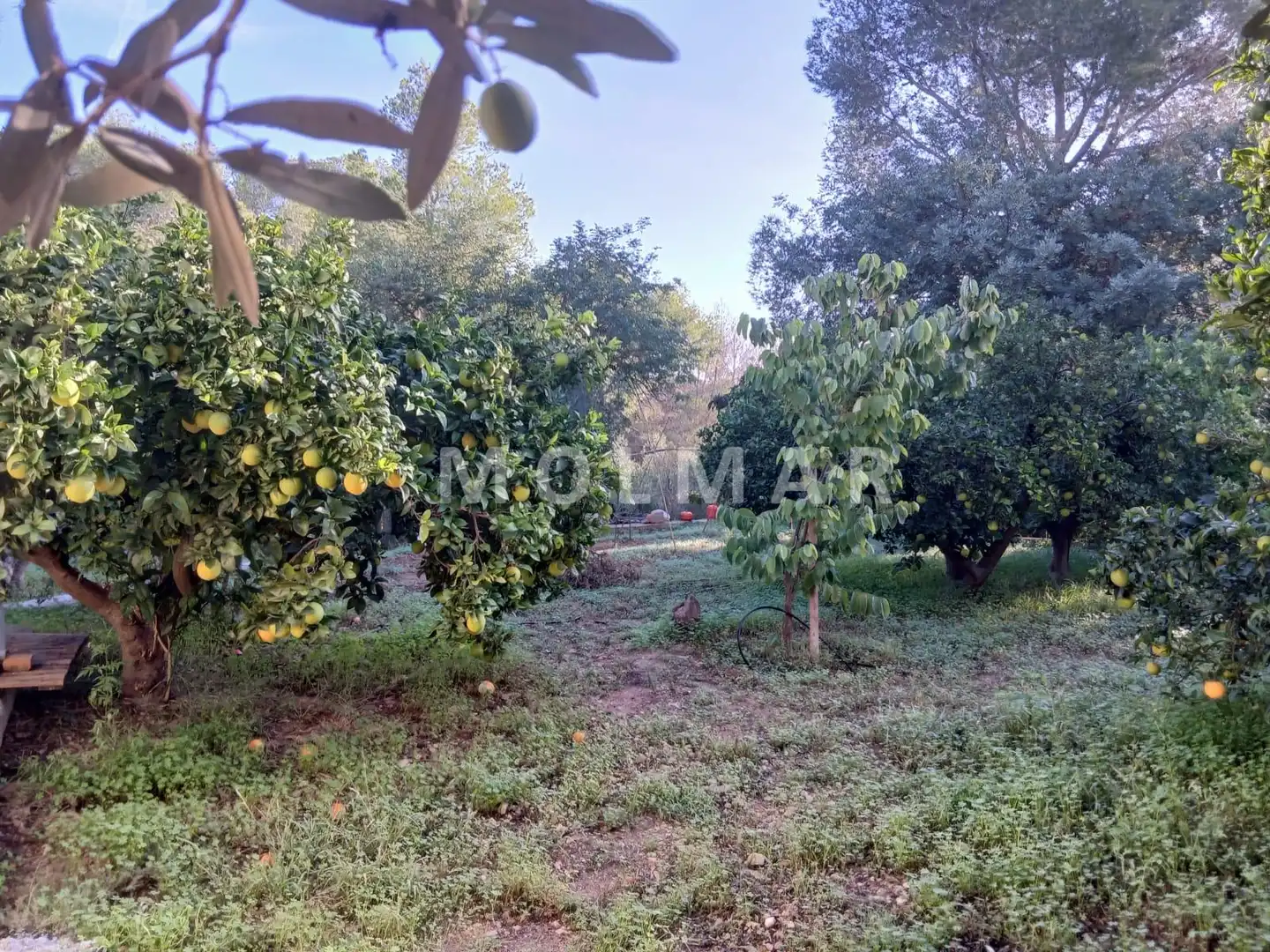 Finca rústica en venta en Carlet con Jardín privado y Piscina