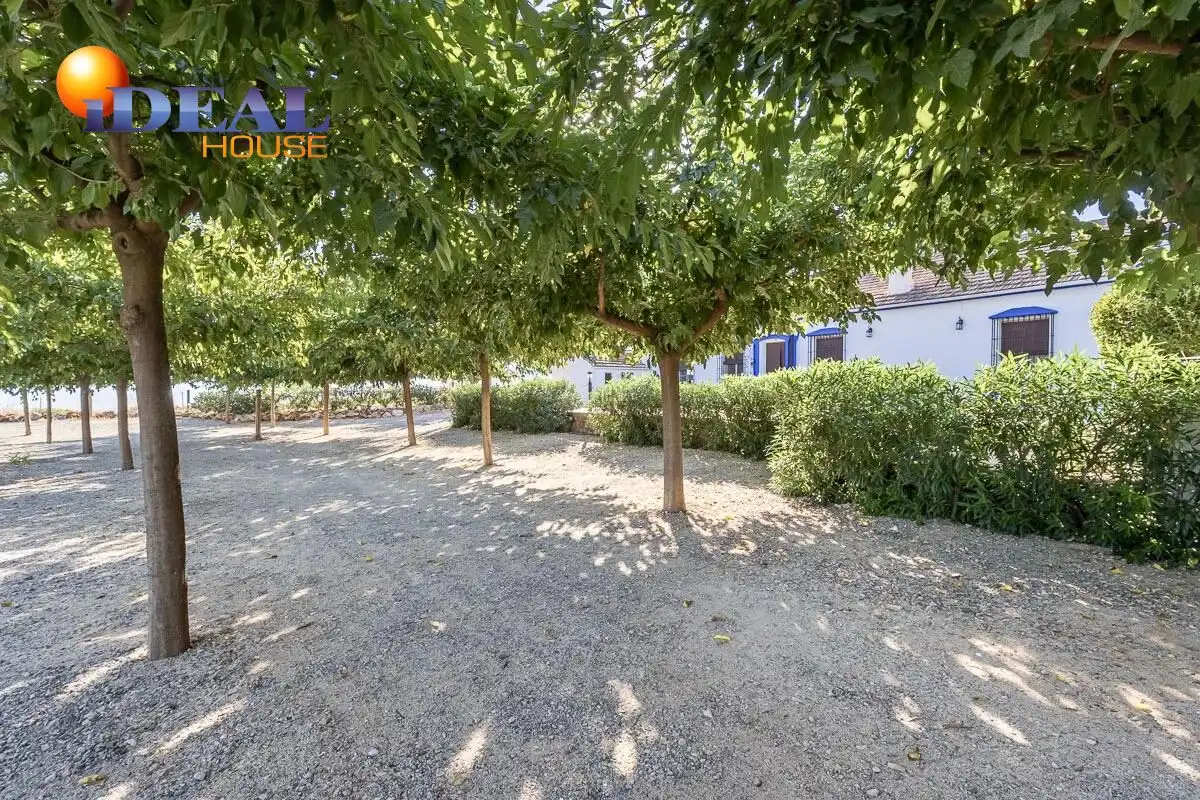 Detached house with pool for sale in Íllora, imagen 42
